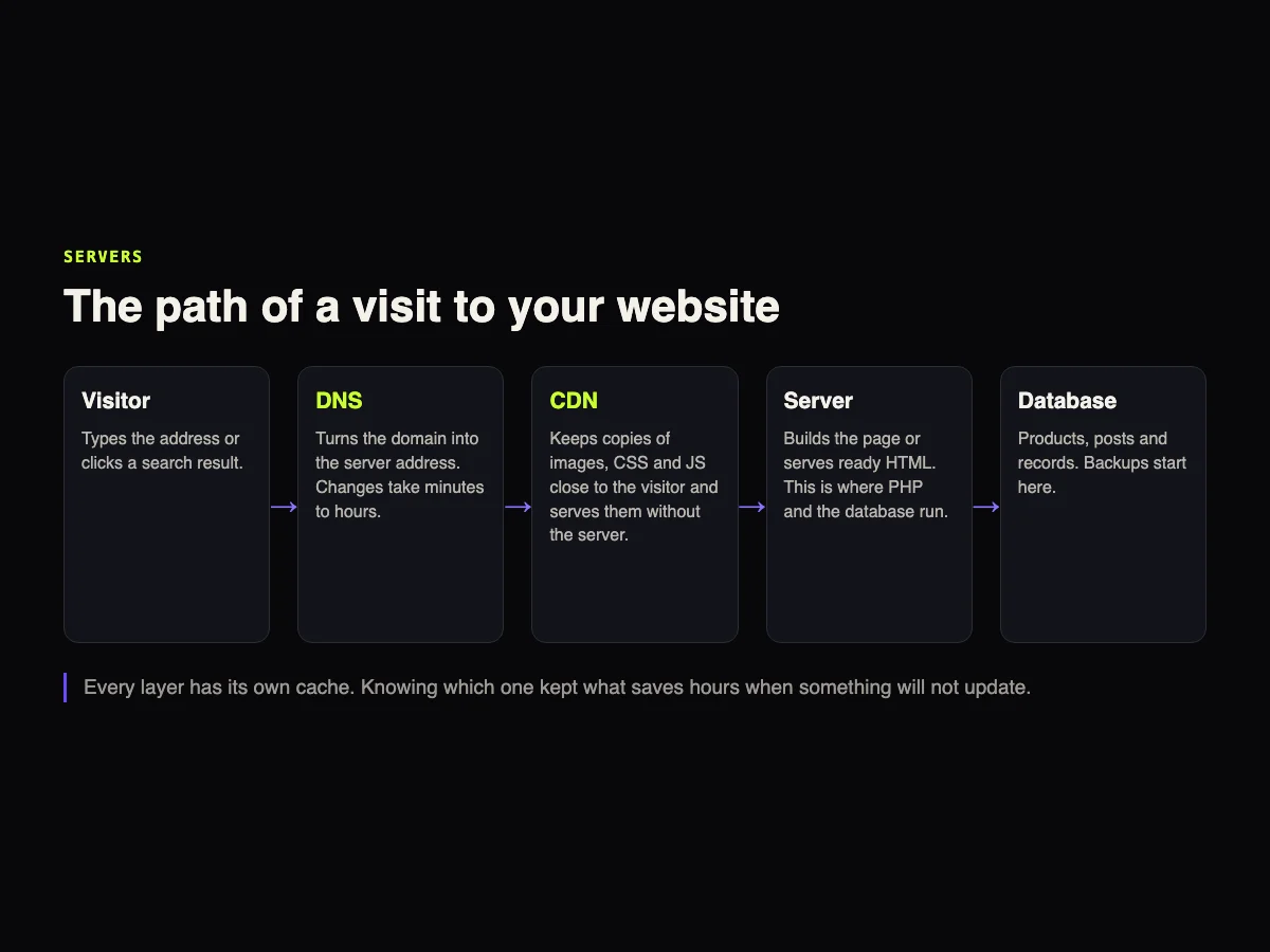 Diagram of the path of a visit: visitor, DNS, CDN, server and database, with the role of each layer